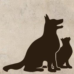 Samolepky na zeď Kočka a pes 0560