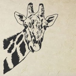 Samolepky na zeď Žirafa 005