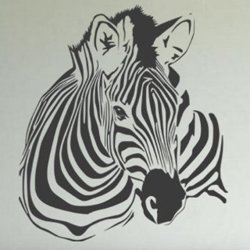 Samolepky na zeď Zebra 018